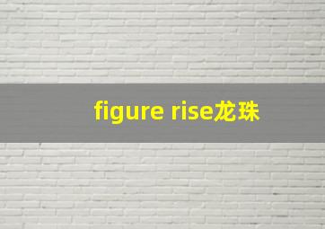 figure rise龙珠